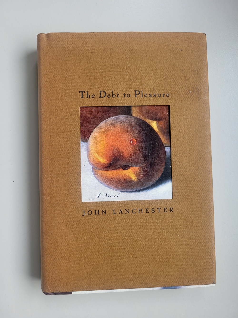 The Debt to Pleasure by John Lanchester - Tan Hardcover